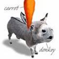 donkey and carrot
