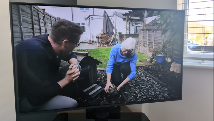 Tortoise On BBC Morning Live
